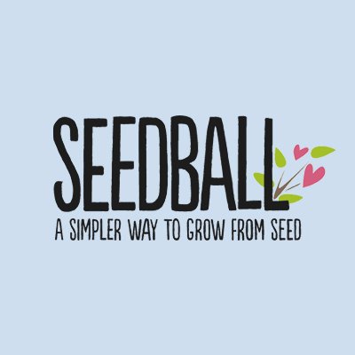 Seedball - Amersify Case Study